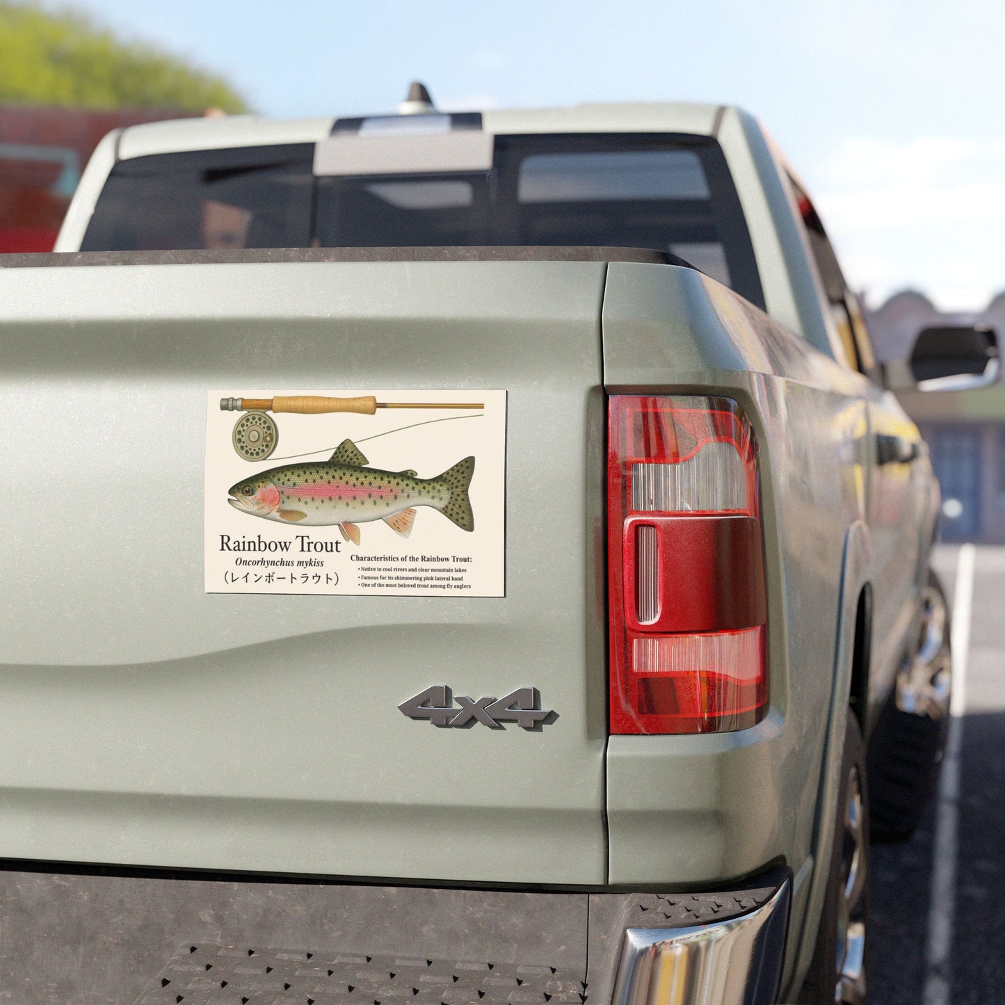 Rainbow Trout Car Magnet