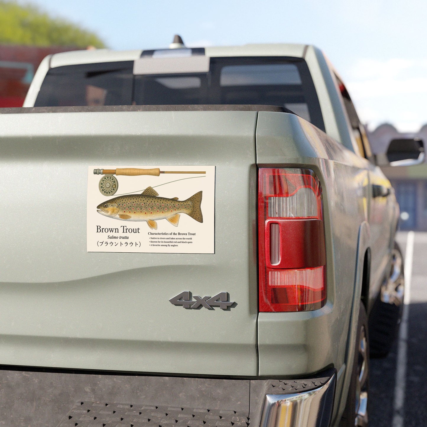 Brown Trout Car Magnet