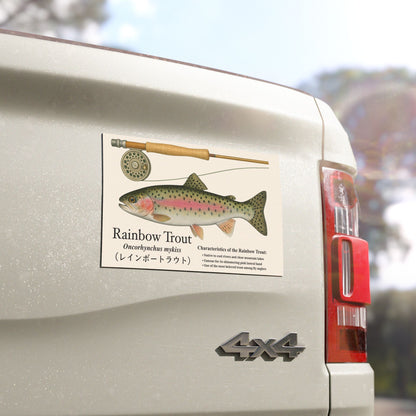 Rainbow Trout Car Magnet