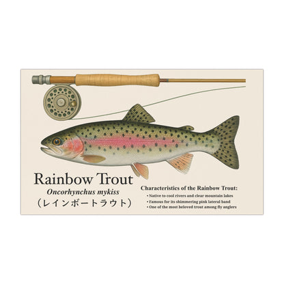 Rainbow Trout Car Magnet