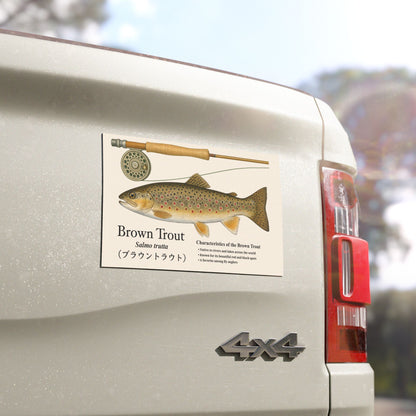 Brown Trout Car Magnet