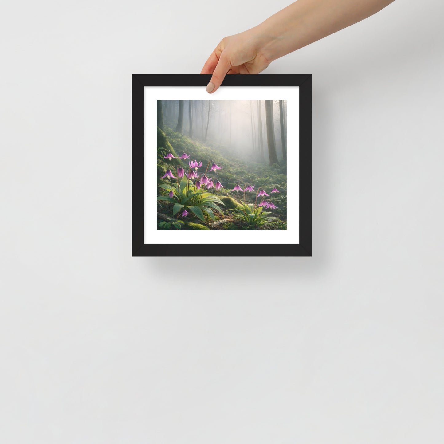 Framed Dogtooth Violet Art Print