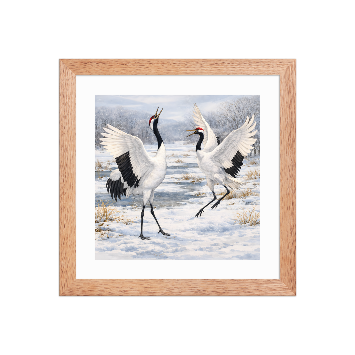Framed Red-crowned Crane Art Print